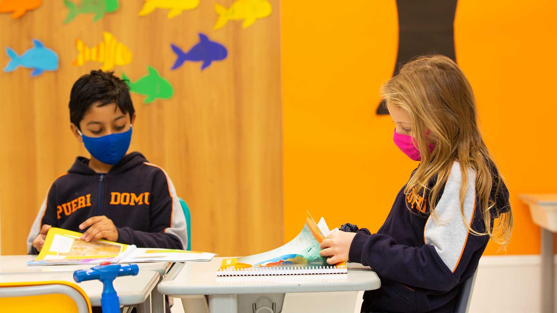 Ensino fundamental bilíngue anos iniciais em São Paulo - SP. Escola Bilíngue Pueri Domus.